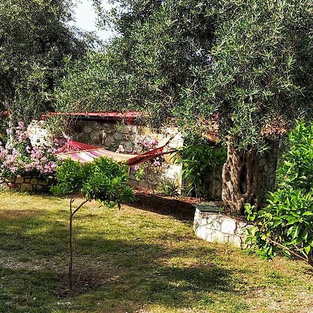 הימארה Filoxenia - The Place Of Experience מראה חיצוני תמונה