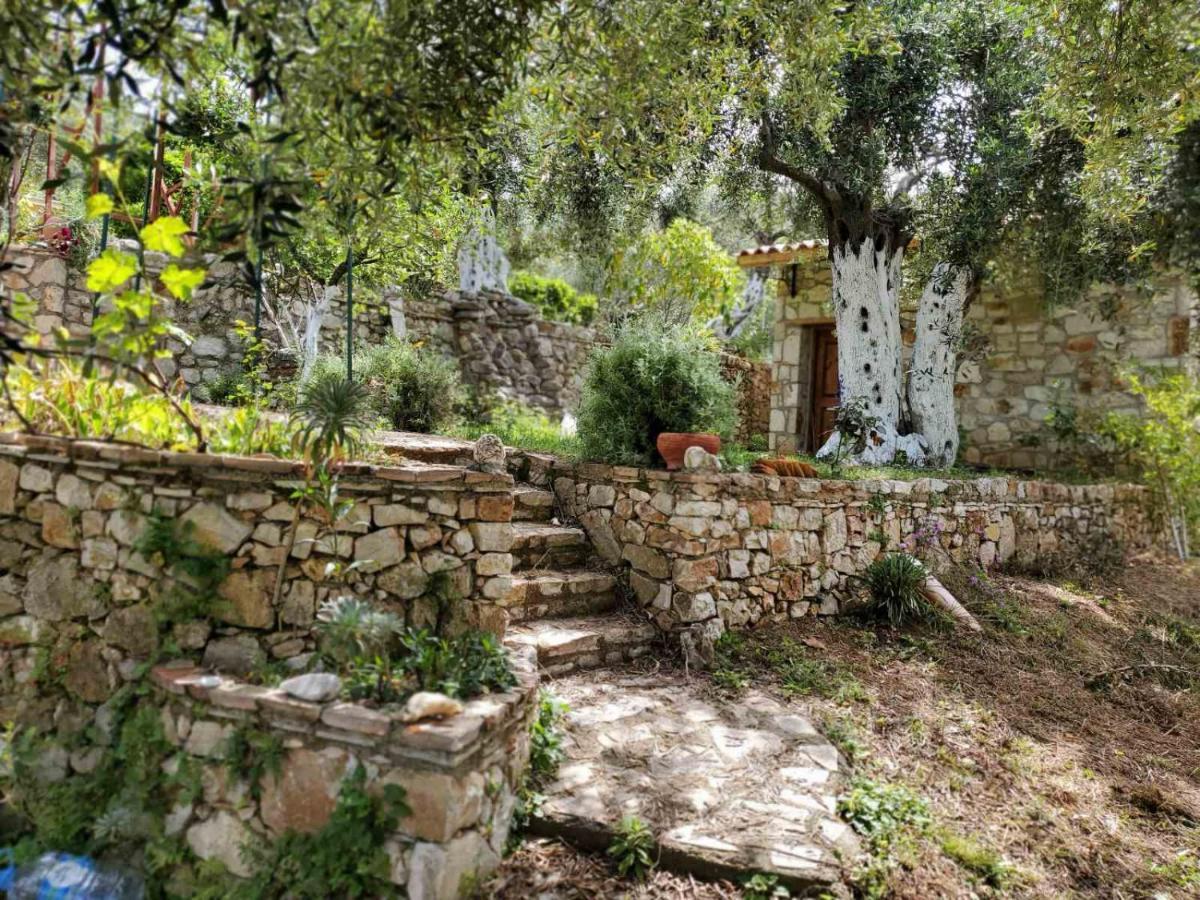 הימארה Filoxenia - The Place Of Experience מראה חיצוני תמונה