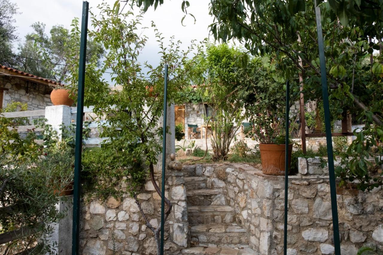 הימארה Filoxenia - The Place Of Experience מראה חיצוני תמונה