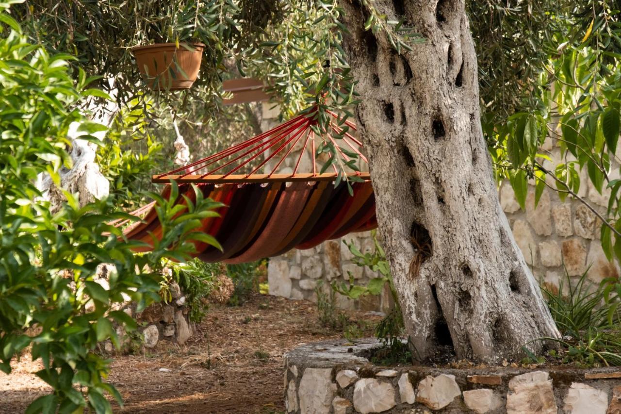 הימארה Filoxenia - The Place Of Experience מראה חיצוני תמונה