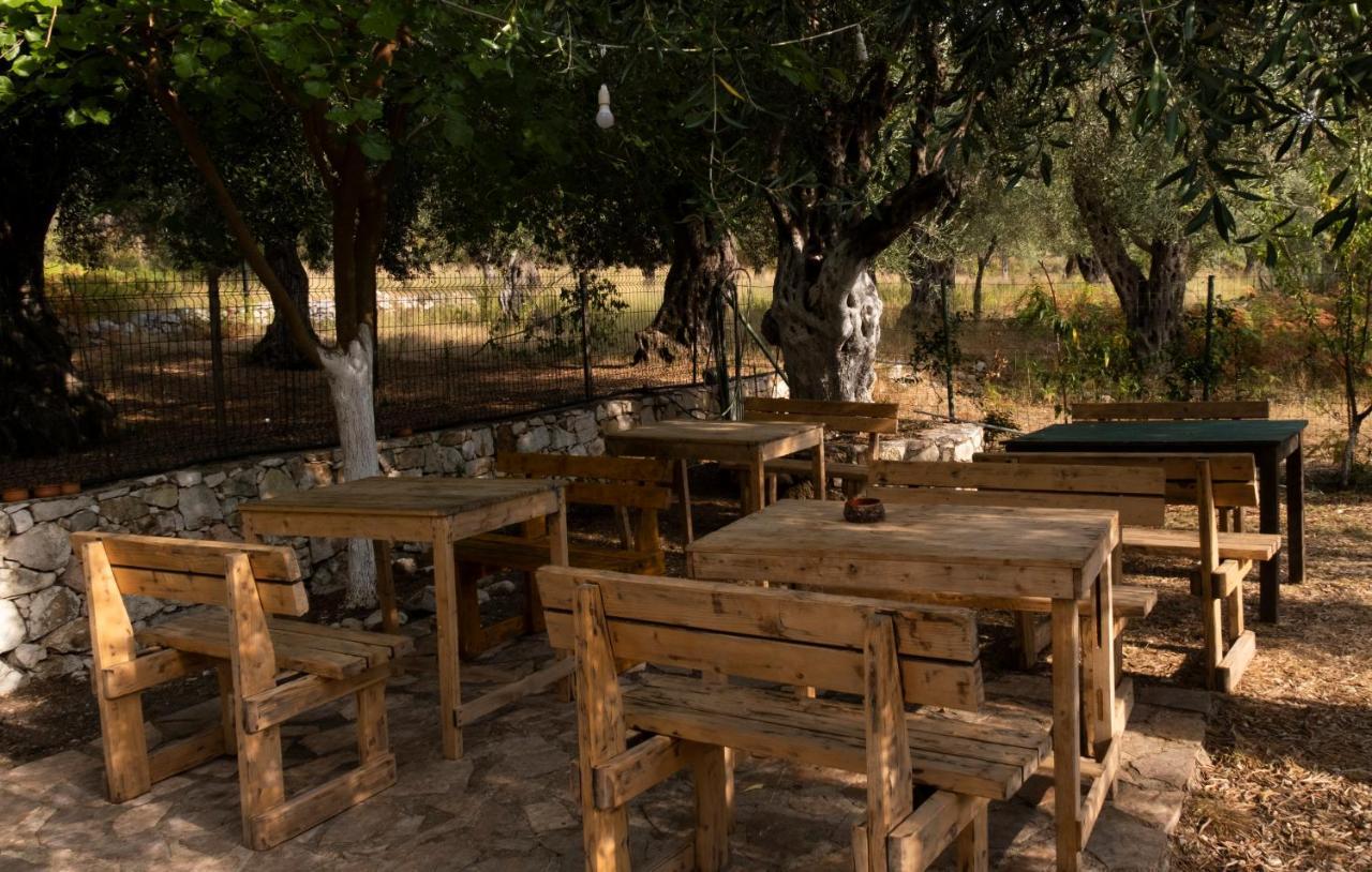 הימארה Filoxenia - The Place Of Experience מראה חיצוני תמונה