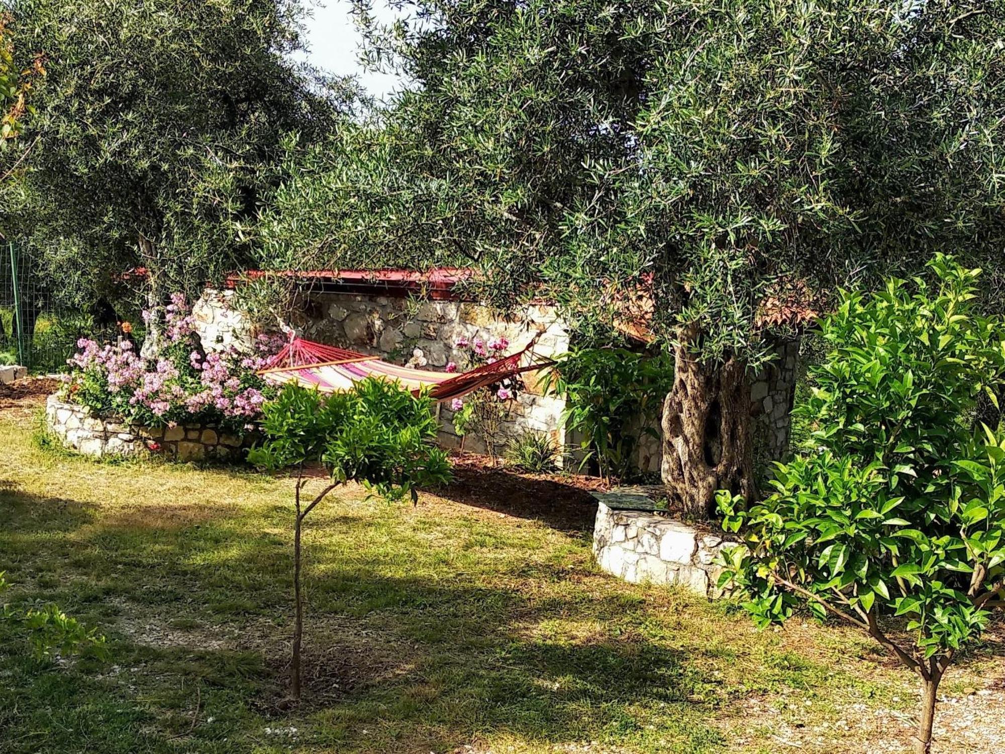 הימארה Filoxenia - The Place Of Experience מראה חיצוני תמונה
