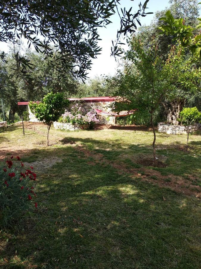 הימארה Filoxenia - The Place Of Experience מראה חיצוני תמונה