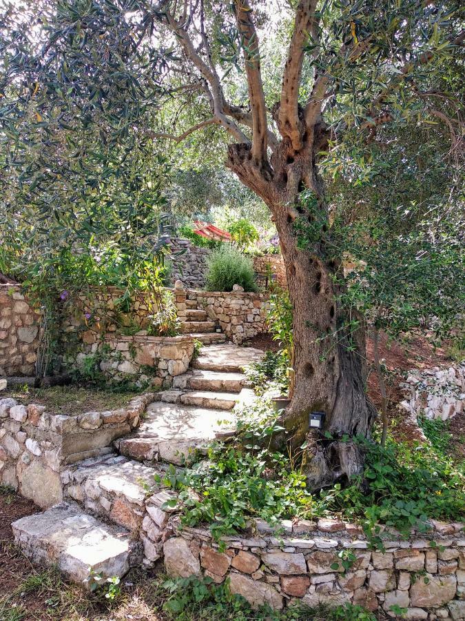 הימארה Filoxenia - The Place Of Experience מראה חיצוני תמונה