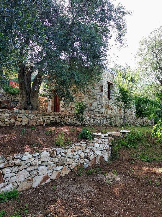 הימארה Filoxenia - The Place Of Experience מראה חיצוני תמונה